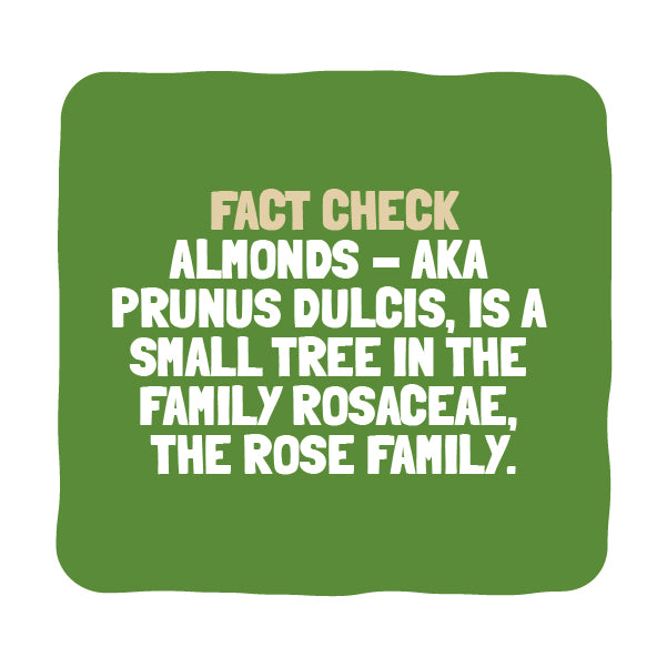 Nutri Verve Raw California Almonds