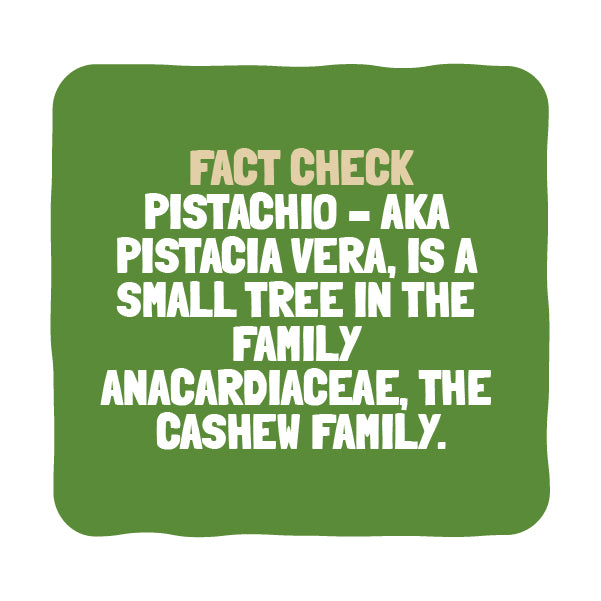 Nutri Verve Roasted and Salted Pistachio