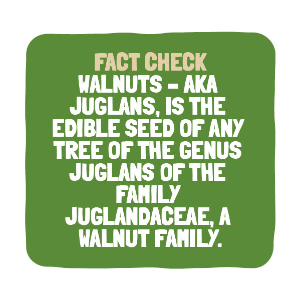 Nutri Verve Raw Walnut Kernels